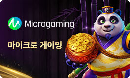 Micro Gaming